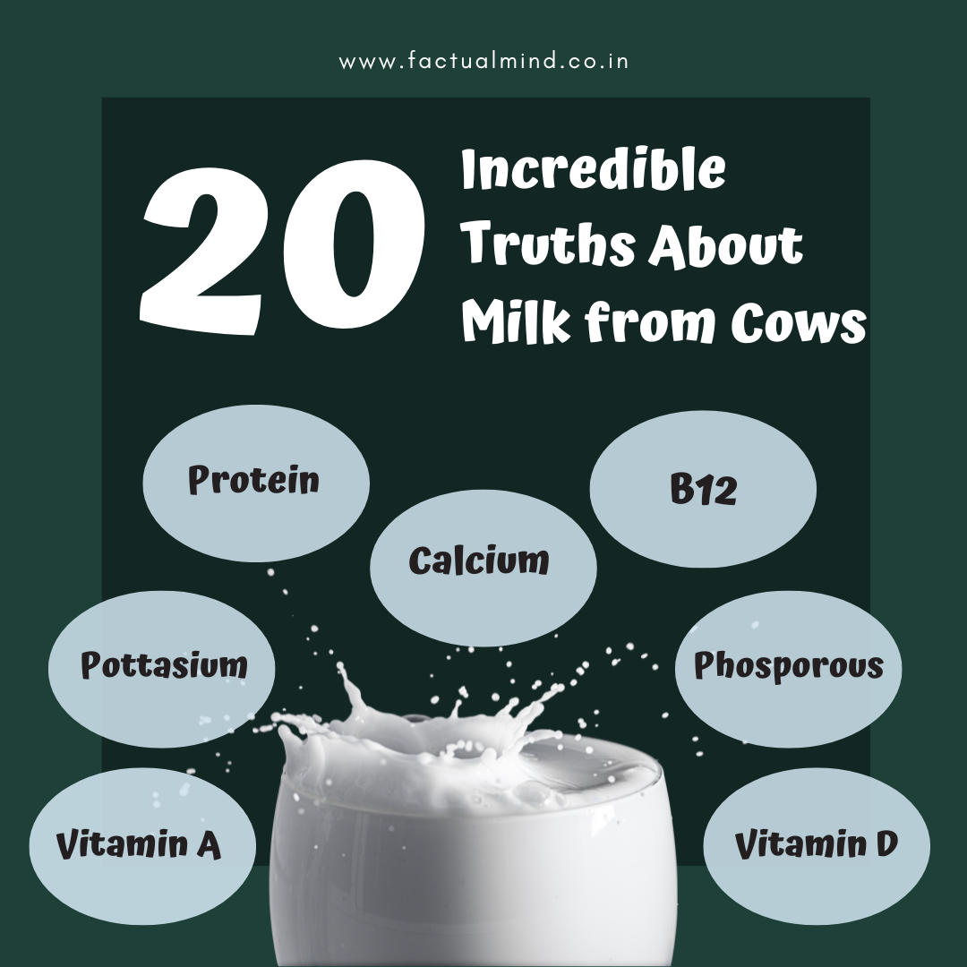 20 Incredible Truths About Milk from Cows